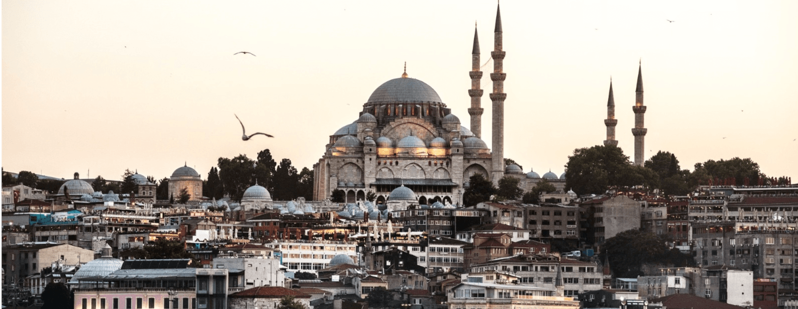 iraq ziyarat packages