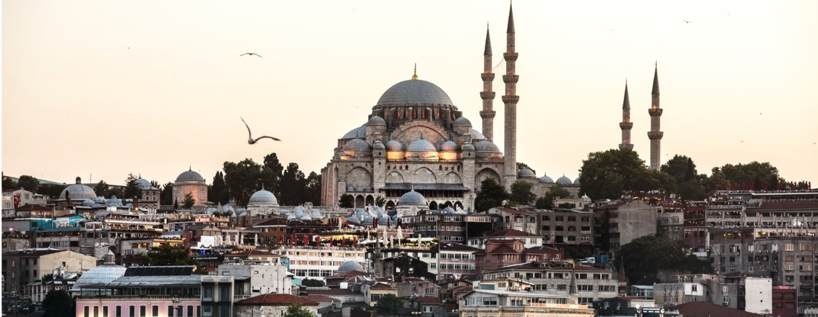 Turkey packages